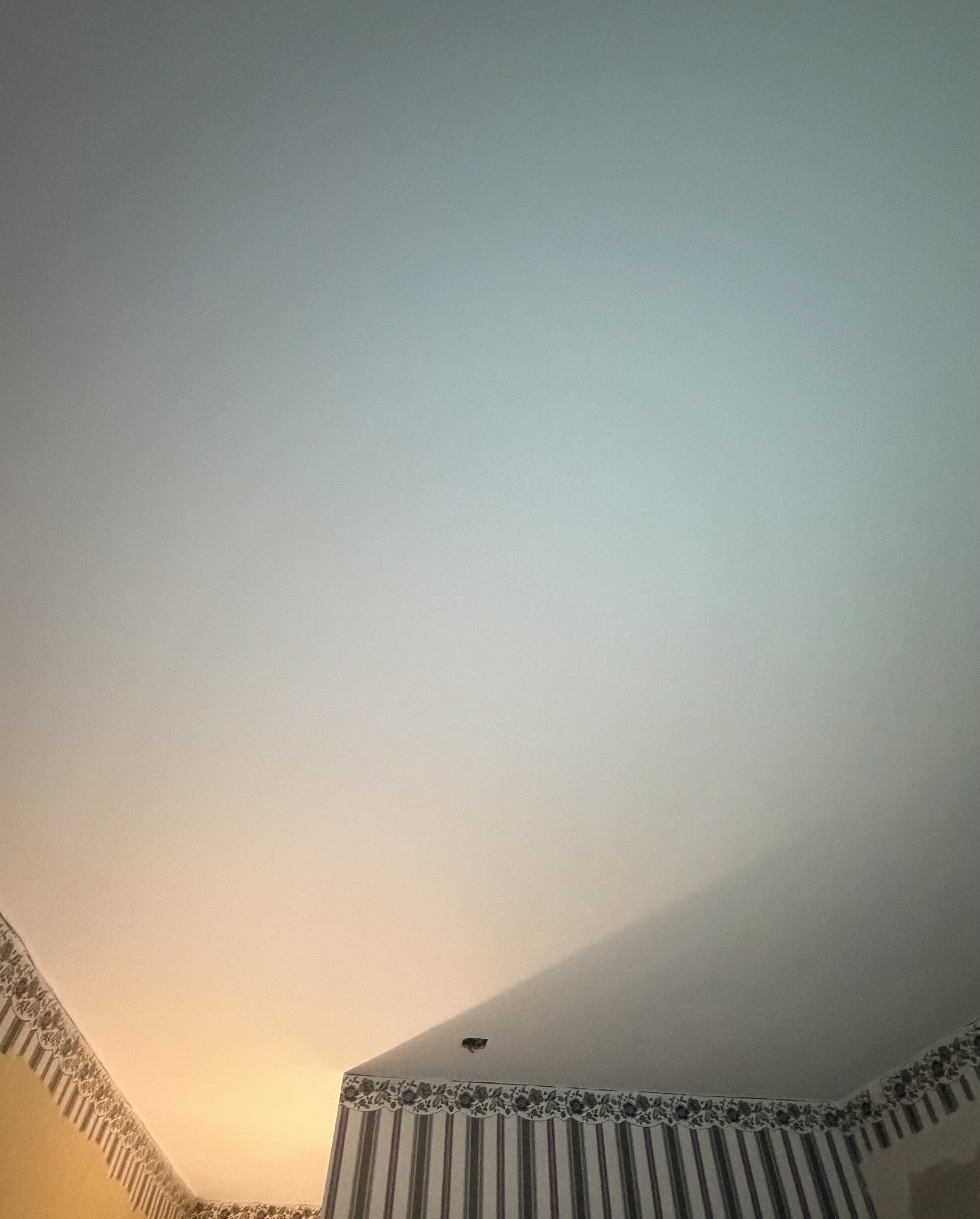 Popcorn ceiling removal skim coat drywall repair and ceiling painting in Huntsville Alabama